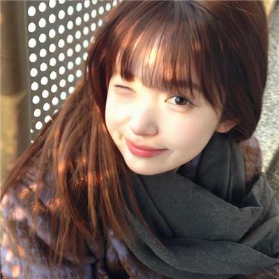 秋田犬蓬夫